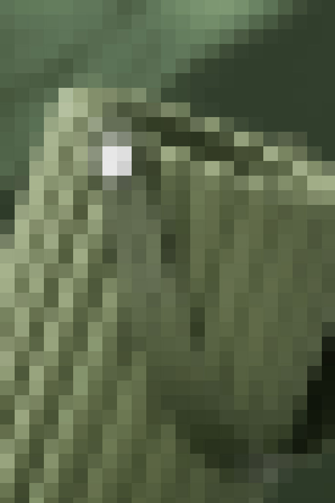 Image Title